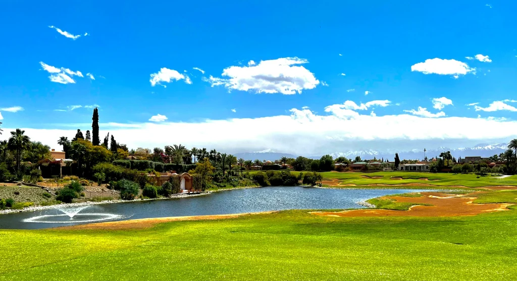 Sunny lakeside landscape with a fountain, manicured greens, palm trees, and a row of houses under a bright blue sky and distant mountains.
